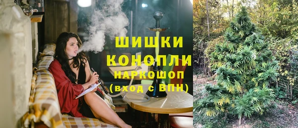 эйфоретик Надым