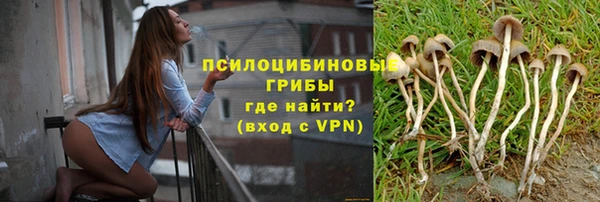 MDMA Premium VHQ Михайловка