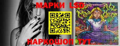 гидропоника Гусев