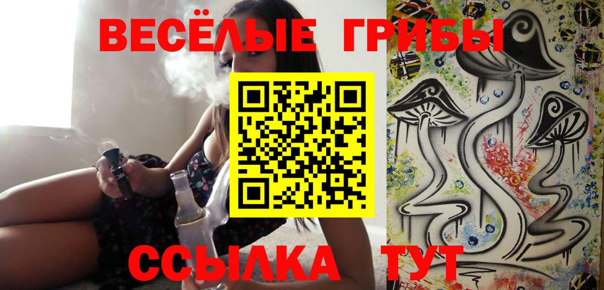 Галлюциногенные грибы Cubensis  закладка  Пыть-Ях 